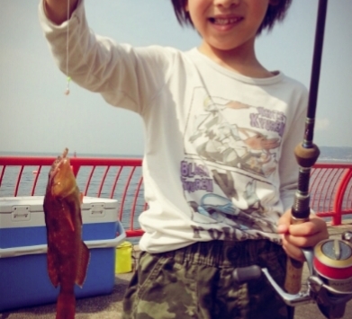 平磯海釣り公園で子供が釣った魚