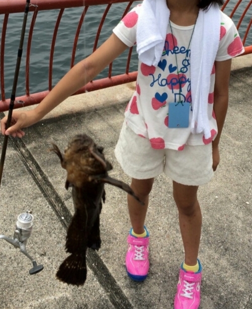 子供と平磯海釣り公園
