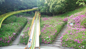 神戸総合公園自然の国のスライダー